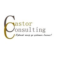 КАСТОР КОНСАЛТИНГ
