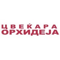 ЦВЕЌАРА ОРХИДЕЈА